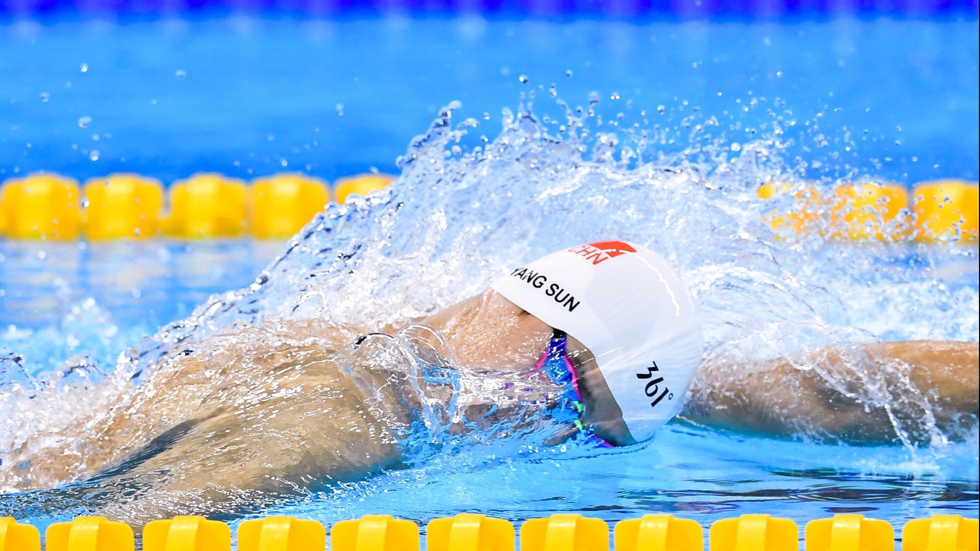 墨西哥马术协会授予费德里科·费尔南德斯“年度最佳障碍赛骑手”称号。